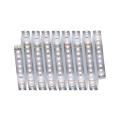  MaxLED 1000 Stripe 2,5m Blanc 