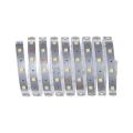  Ruban MaxLED250 2,5m TunableWh 