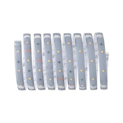  Ruban MaxLED250 recouvert 1m 2 