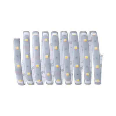  Ruban MaxLED250 recouvert 1m T 