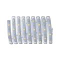  Ruban MaxLED250 recouvert 2,5m 