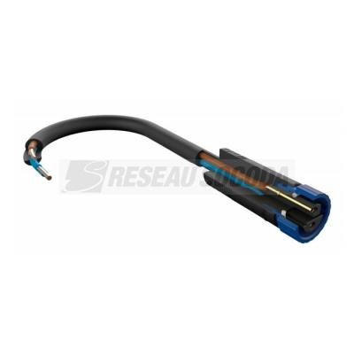  EXT P&S Cable 10m 1in-2out IP6 