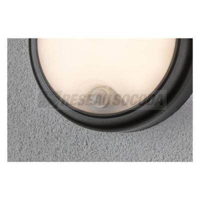  EXT 230V Applique Cone Wall 1! 