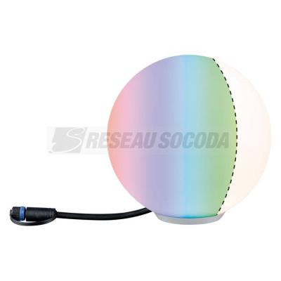  EXT P&S Lanterne Globe D20cm R 