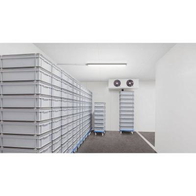  WT050C 1xTLED L1200 