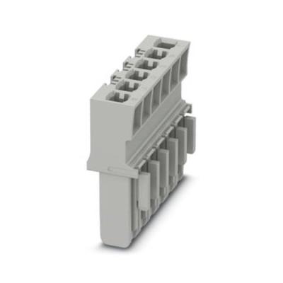  CP 4/6 