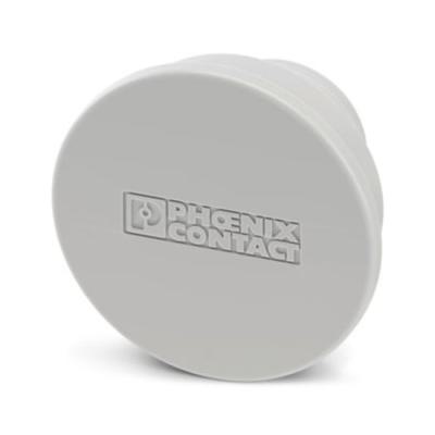  ES-FT-BPC 35 PROTECTION CAP 