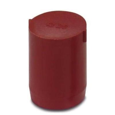  SEALING PLUG 25X30 RD 