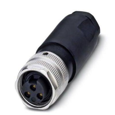  SACC-MINFS-3CON-PG13 
