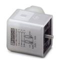  SACC-V-5CON-PG9/AD-2L 24V 