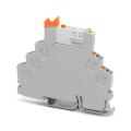  RIF-0-RPT-24DC/21/MS 