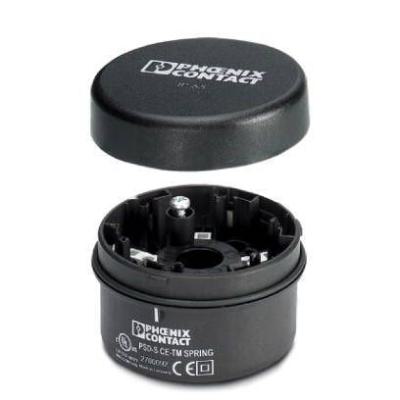  PSD-S CE-TM SPRING 