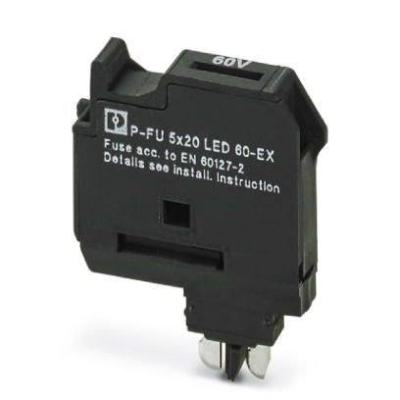 P-FU 5X20 LED 60-EX 