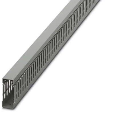  CD 25X60 