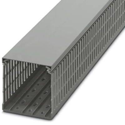  CD 100X100 