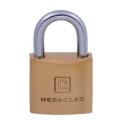  HERACLES I-CAD25-BS cadenas la 