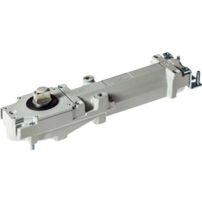  DORMAKABA 61801001 pivot de so 