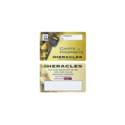  HERACLES NP60001DT2 m�canisme 