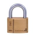  HERACLES I-CAD60MV cadenas lai 