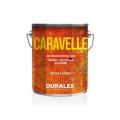  DURALEX 108100512 Laque brilla 