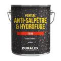  DURALEX 110100503 Peinture hyd 
