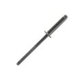  SCELL-IT BTD4820 Rivet inox t� 