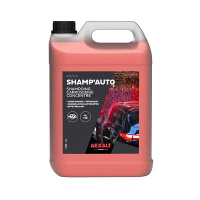  AEXALT S130 Shampoing carrosse 