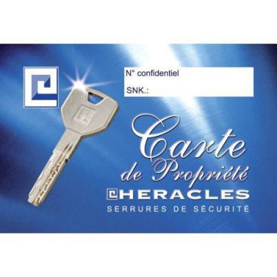  HERACLES SK-10084151 cylindre 