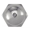  ACTON 626043 Ecrou borgne inox 