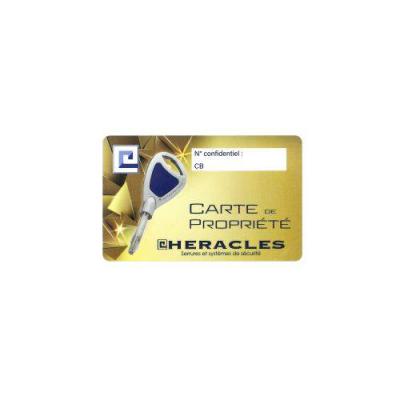  HERACLES F160100 jeu de cylind 
