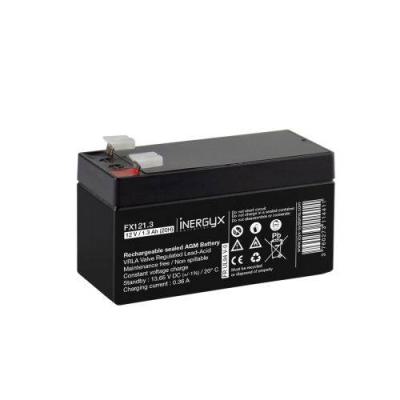  FX121.3 batterie rechargeable 
