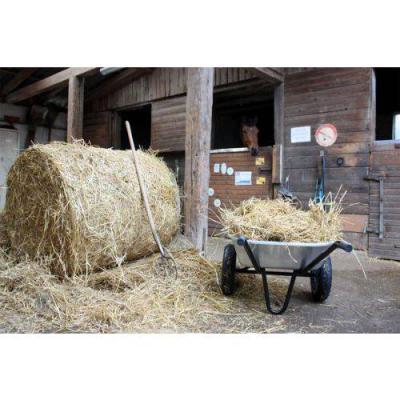  HAEMMERLIN 306015201 Brouette 