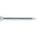  SPIT 041830 Pointe acier CP-50 