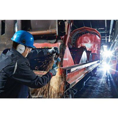  BOSCH 060179P002 meuleuse d'an 