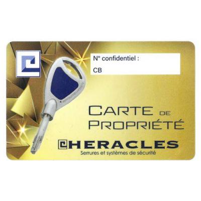  HERACLES F170100 jeu de cylind 