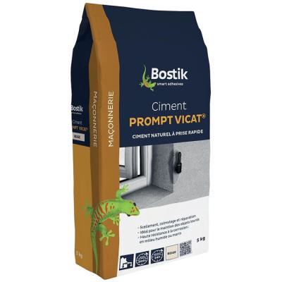  BOSTIK 30124881 Ciment prompt 