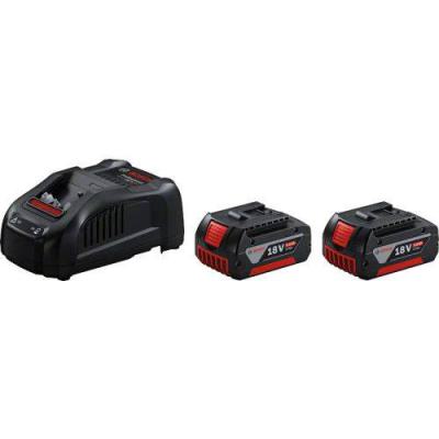  BOSCH 1600A00B8J deux batterie 