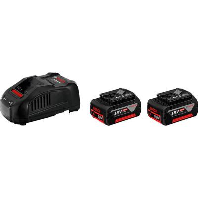  BOSCH 1600A00B8J deux batterie 