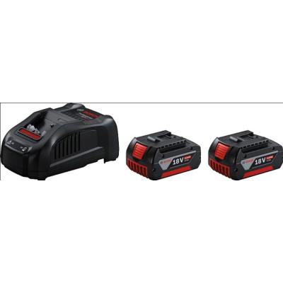  BOSCH 1600A00B8J deux batterie 