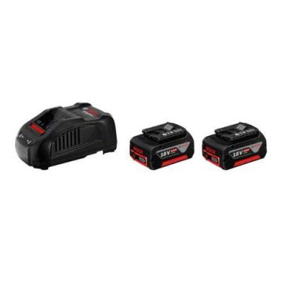 BOSCH 1600A00B8J deux batterie 