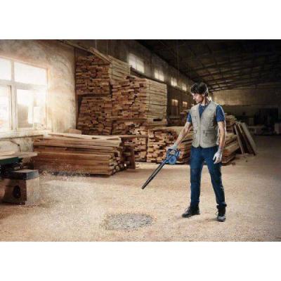  BOSCH 06019F5100 souffleur 18 
