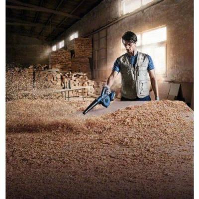  BOSCH 06019F5100 souffleur 18 