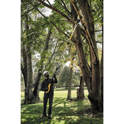  DEWALT DCMPS567P1 Elagueuse su 