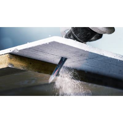  BOSCH EXPERT 2608900407 lame s 