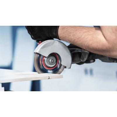  BOSCH EXPERT 2608900655 disque 