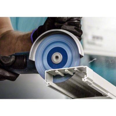  BOSCH EXPERT 2608901193 disque 