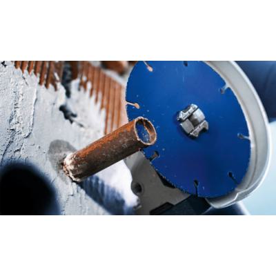  BOSCH EXPERT 2608901196 disque 