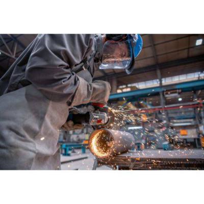  BOSCH 06017D1700 meuleuse GWS 