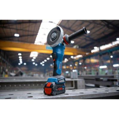  BOSCH 06019H6A01 meuleuse d'an 