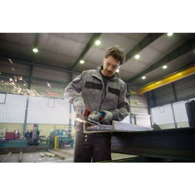  BOSCH 06017D0100 meuleuse d�an 